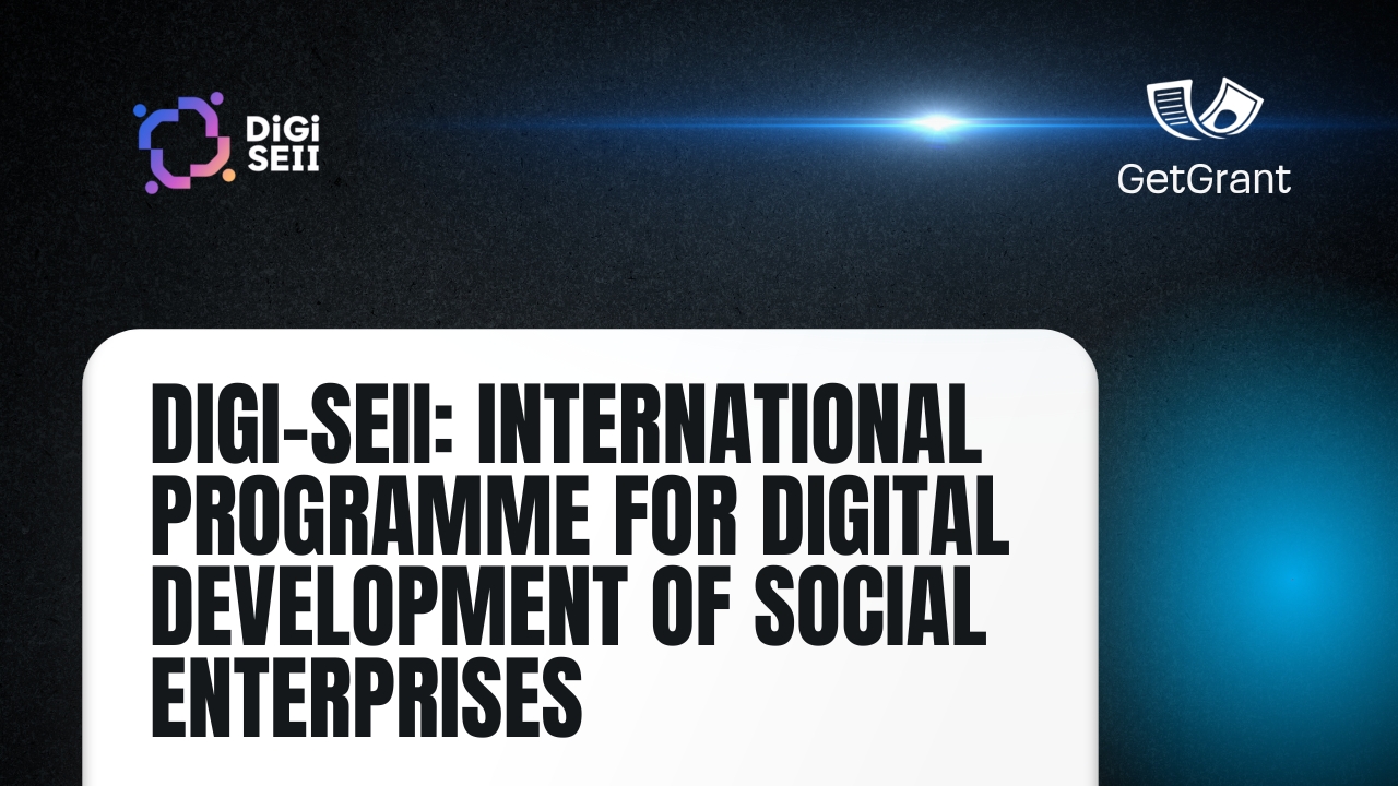 DiGi-SEII: International Programme for Digital Development of Social Enterprises