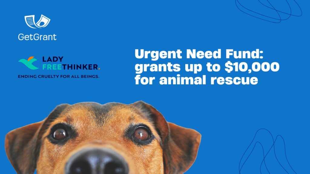 Urgent Need Fund: grants up to $10,000 for animal rescue
